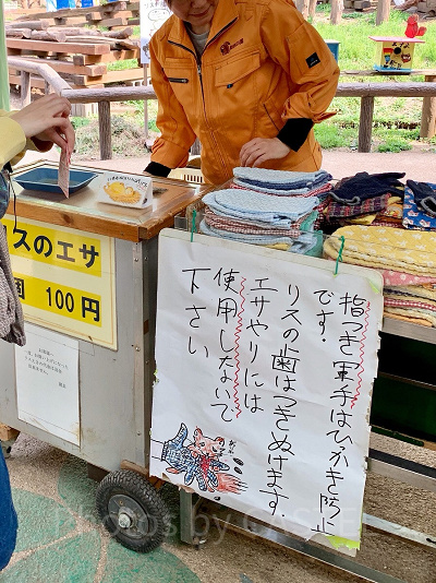 リスに餌やり体験!