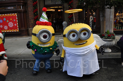 ジェリーの特徴