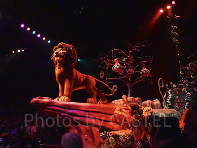 フェスティバル・オブ・ライオン・キング