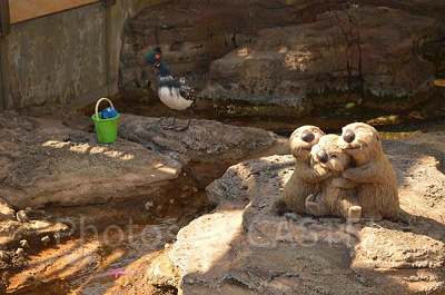 ファインディング・ドリーのプロップス