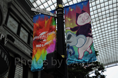 シングのフラッグ／USJ