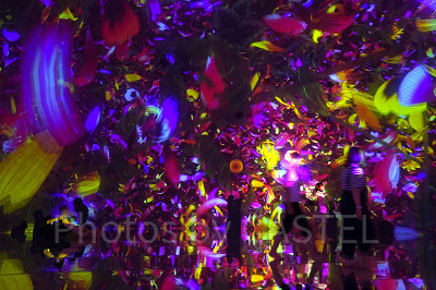 Floating in the Falling Universe of Flowers