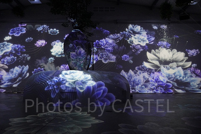 花とデジタルのアートショー