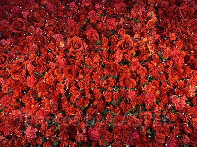 フラワーオーベル