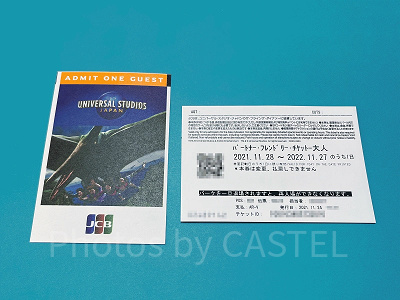 フライングダイナソー（絵柄）のUSJチケット