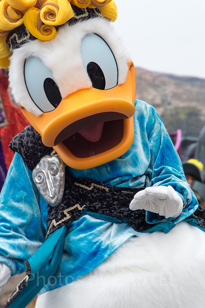 ドナルド　ザ・ヴィランズ・ワールド2017より