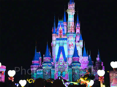 ミニパル2026】パルパルーザ第5弾 「ミニーのファンダーランド」最新