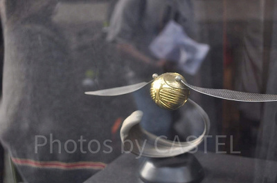 ゴールデンスニッチ