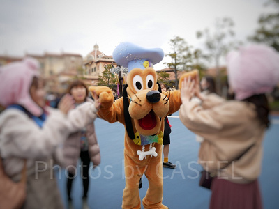 プルートとのグリーティング