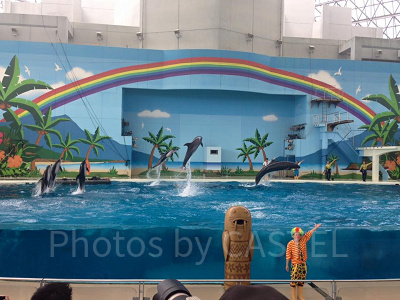 八景島シーパラダイス水族館