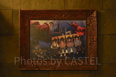 ハリーポッター・アンド・ザ・フォービドゥン・ジャーニー(USJ)