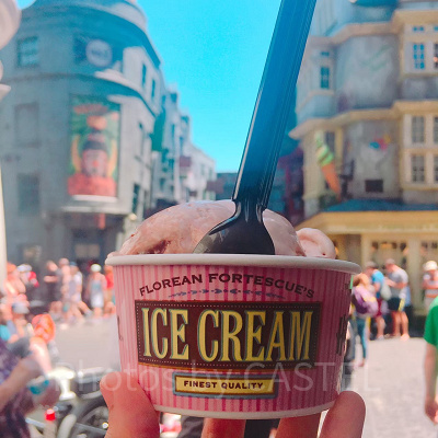 ハリーポッターエリアのアイスクリーム(画像は海外ユニバで撮影したもの)