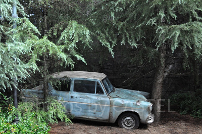 ハリー・ポッターエリア/空飛ぶフォード・アングリア