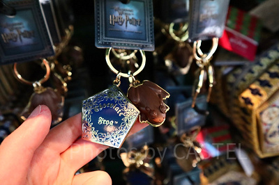 USJ】ハリーポッターのお土産グッズ132選！お菓子・雑貨・ファッション