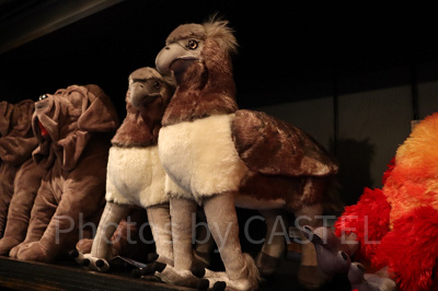 ハリポッターの鳥 ハリポタに登場するヒッポグリフについて紹介！特徴や映画での名