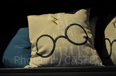 Harry’s Glasses（ハリーズグラッシーズ）のクッション