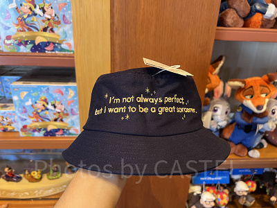 ハット(ファンタジアミッキーグッズ)