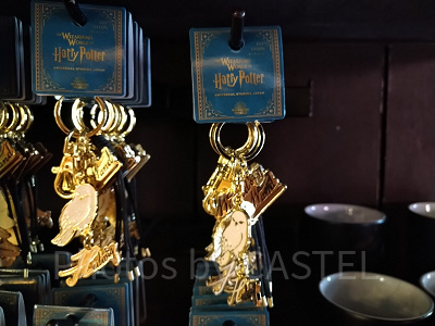 ヘドウィグキーチェーン