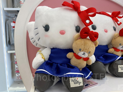 USJ】2022年新作キティグッズ！リアル猫×タイニーチャムシリーズと 