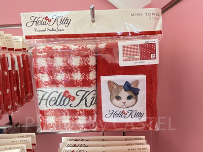 ハローキティリアル猫ミニタオル