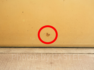 モンスターズインクの隠れミッキー：Qラインの植え込み