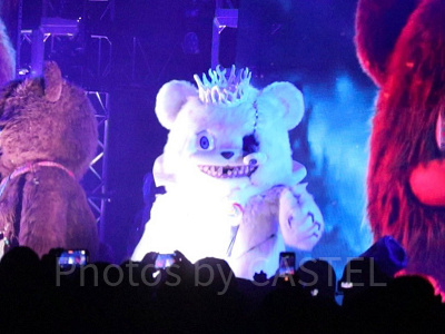 ハミクマソウル