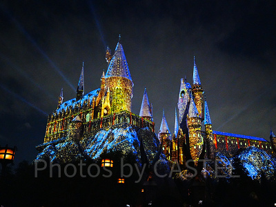 ホグワーツ・マジカル・ナイト～ウインター・マジック～（昨年撮影）