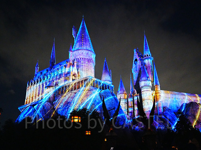 ホグワーツ・マジカルナイト・ウィンターマジック