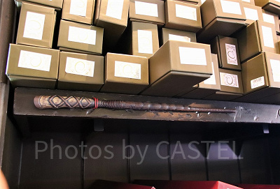 ヒイラギ(7/8~8/4)