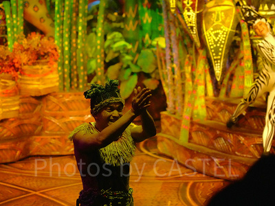 香港ディズニー「フェスティバル・オブ・ザ・ライオンキング」ショー：まとめ