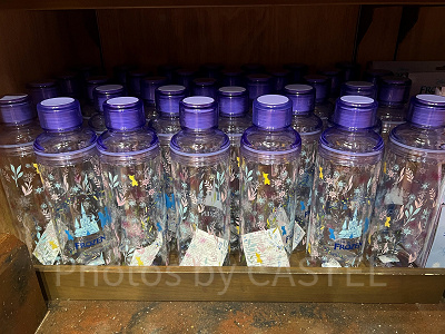 香港ディズニーアナ雪グッズ:クリアドリンクボトル