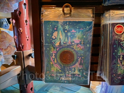 香港ディズニーアナ雪グッズ：コイン型ピンバッジ（台紙付）