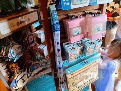 香港ディズニーアナ雪グッズ:「アナと雪の女王2」ストラップ