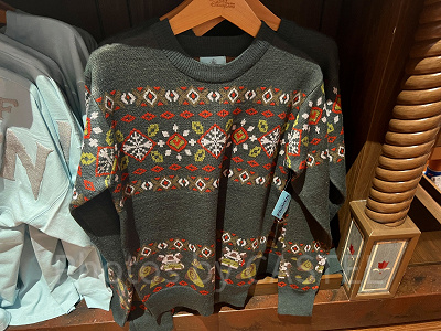 香港ディズニーアナ雪グッズ:ニットセーター