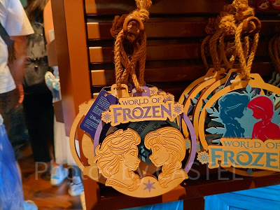 香港ディズニーアナ雪グッズ:木彫りの壁飾り(アナ&エルサ)