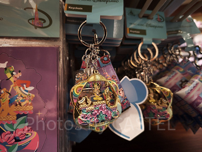 香港ディズニー20周年「フレンドタスティック」グッズ：キーチェーン