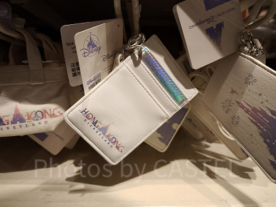 香港ディズニー20周年・スカイライングッズ：パスケース