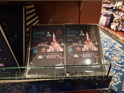 香港ディズニー20周年・スカイライングッズ:ポストカード