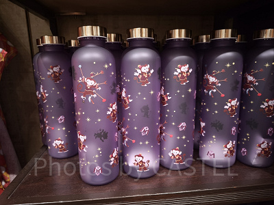 香港ディズニーミスティックマナーグッズ：ドリンクボトル