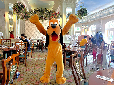 香港エンチャンテッドガーデンレストラン:プルートの1ショット!