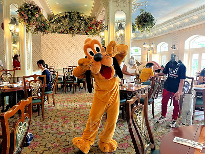 香港エンチャンテッドガーデンレストラン:グリーティング形式