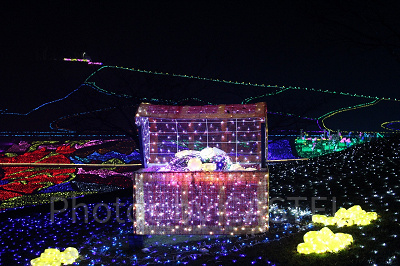 大人気のイルミはどれくらい混む?