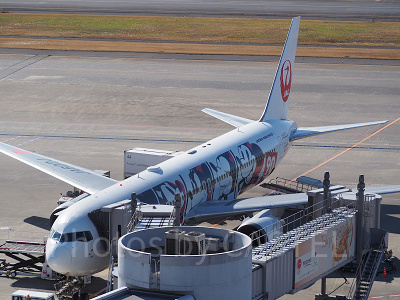 JALで買えるディズニーチケットは何枚まで買える？