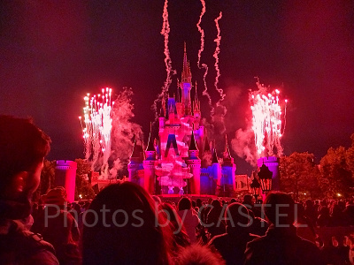 Reach for the Starsのプレミアアクセスの料金は？