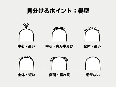 ミニオンの見分け方③：髪型