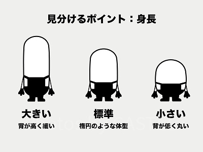 ミニオンの見分け方①：身長