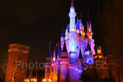 ディズニーを貸し切りで楽しむ方法