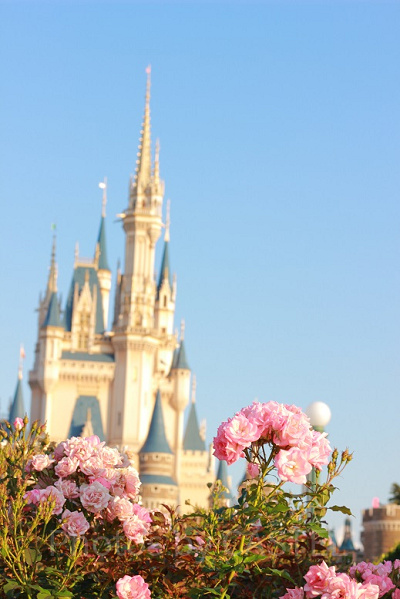 バラに焦点を当ててみました。