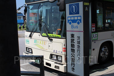 暑い中歩きたくない人は東武動物公園駅西口からバスで行こう