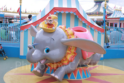 写真を撮りたい方はフォトスポットへ！